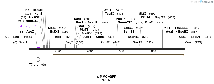 73486_map