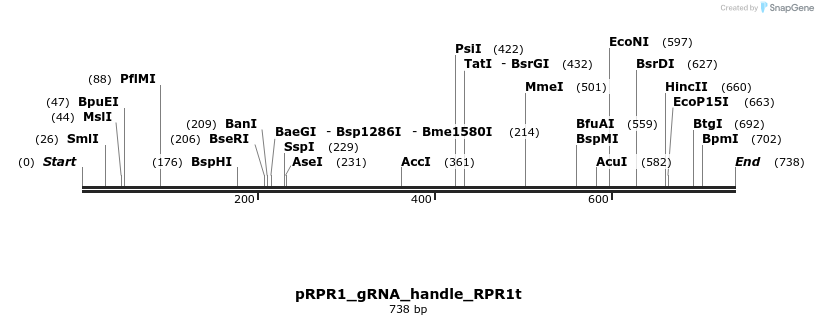 73489_map