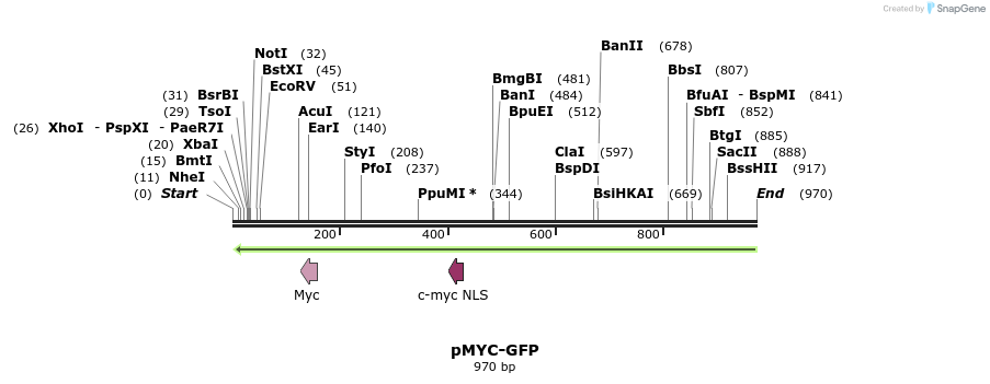 73491_map