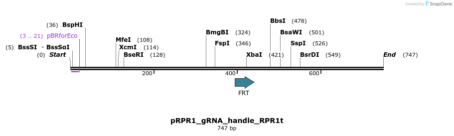 73492_map