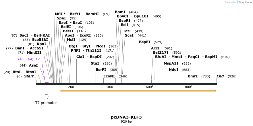 73495_map