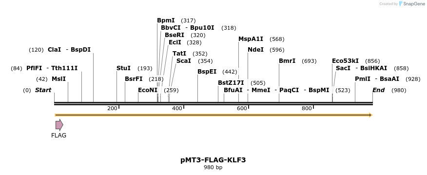 73496_map