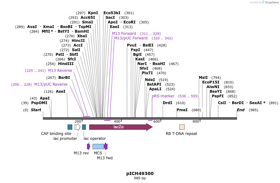 73497_map