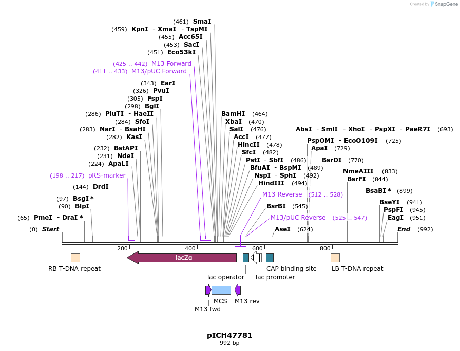73498_map
