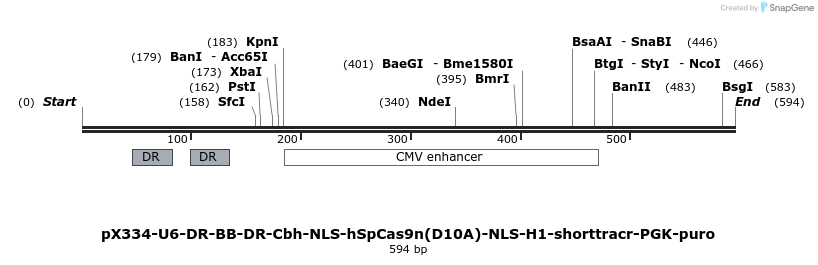 73512_map