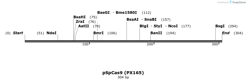 73513_map
