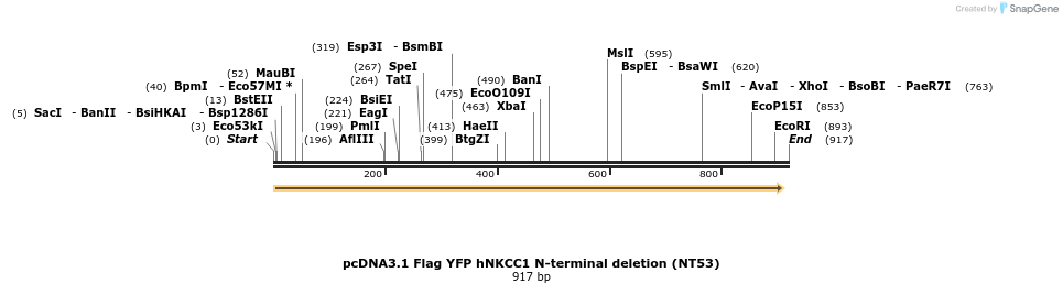 73517_map