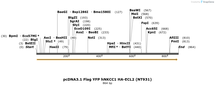 73518_map