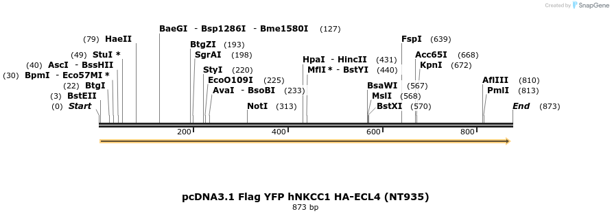 73520_map