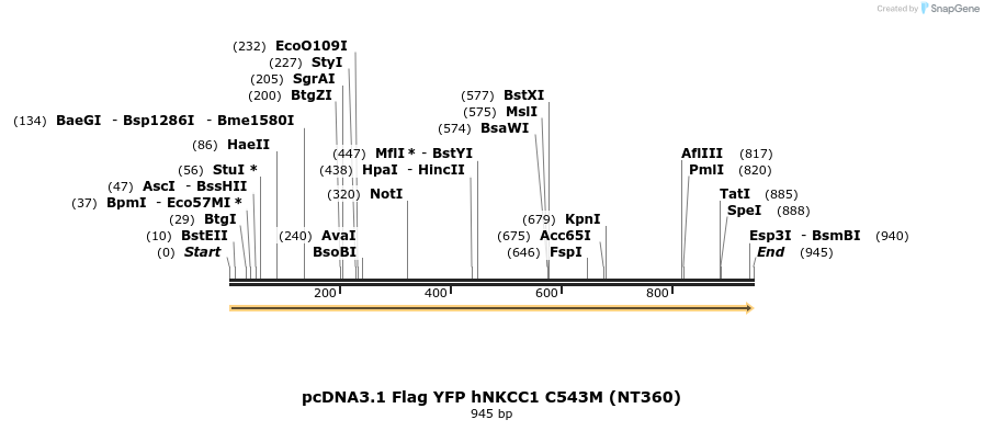 73523_map