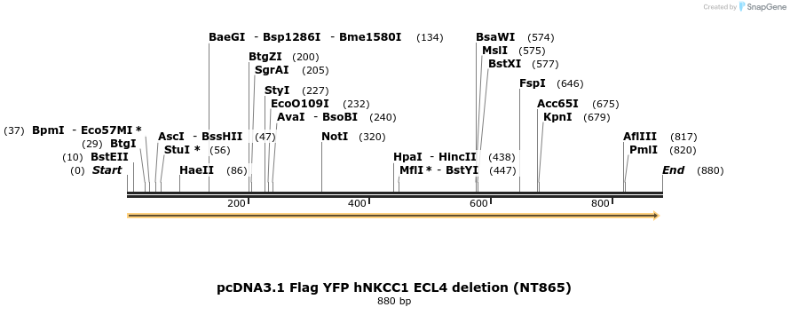 73525_map