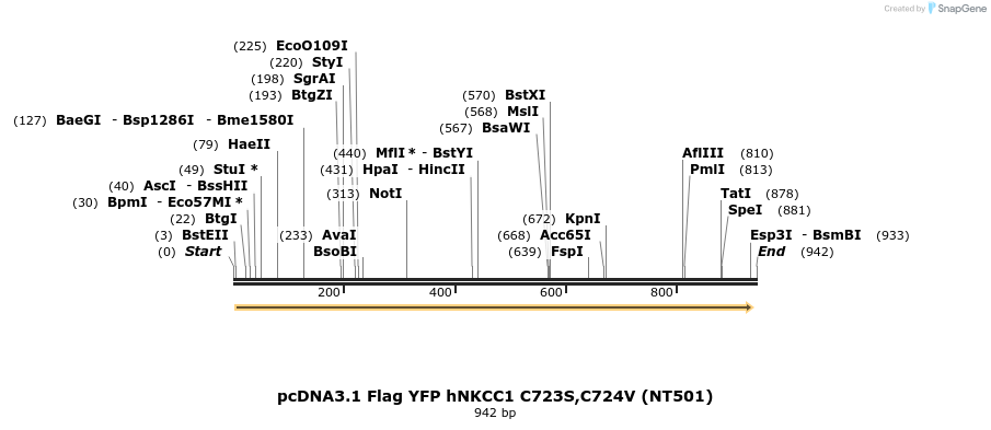 73528_map