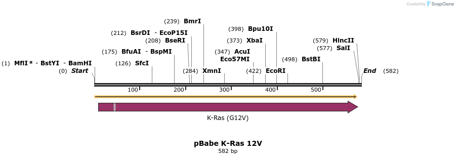 7353_map