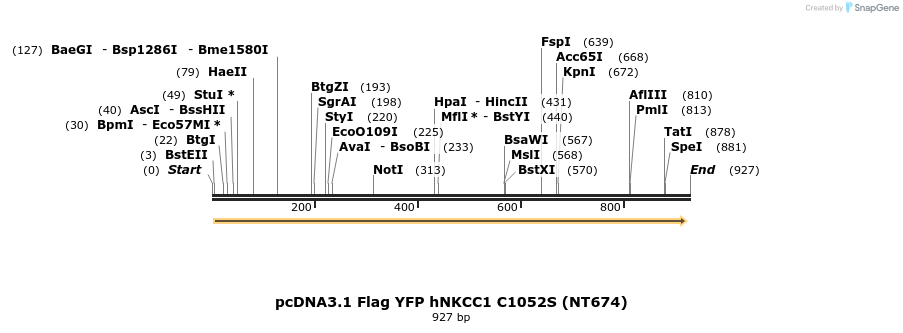 73531_map
