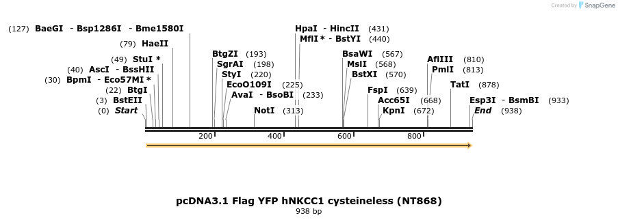 73534_map