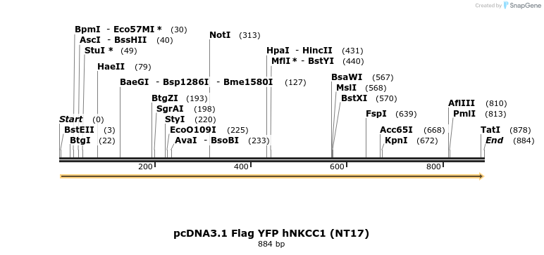 73536_map
