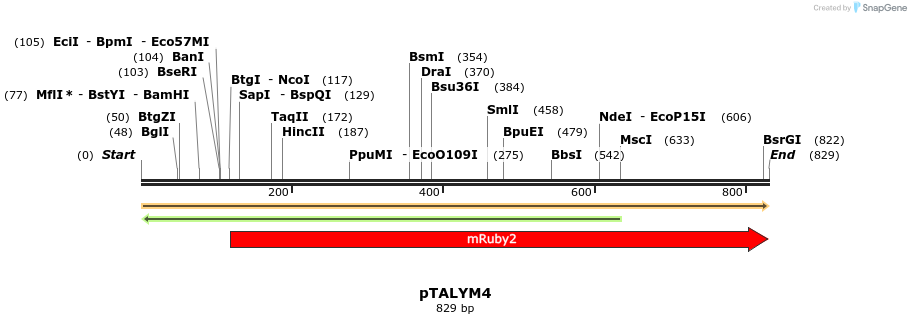 73538_map