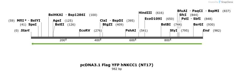 73539_map