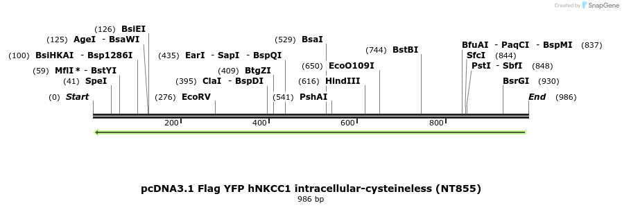73541_map