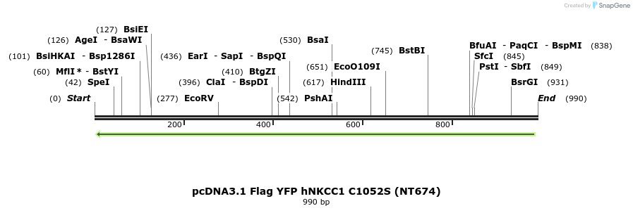 73546_map