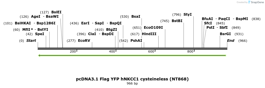 73551_map