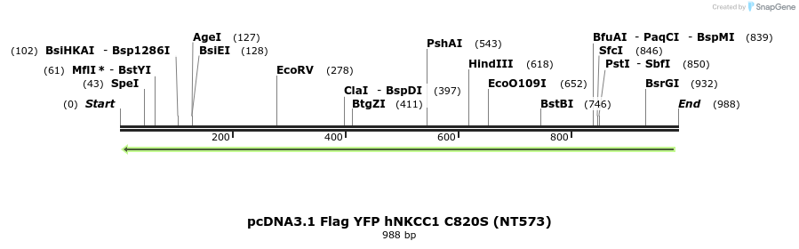 73553_map