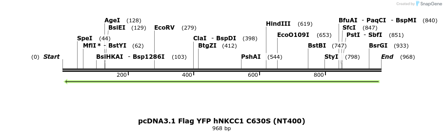 73555_map