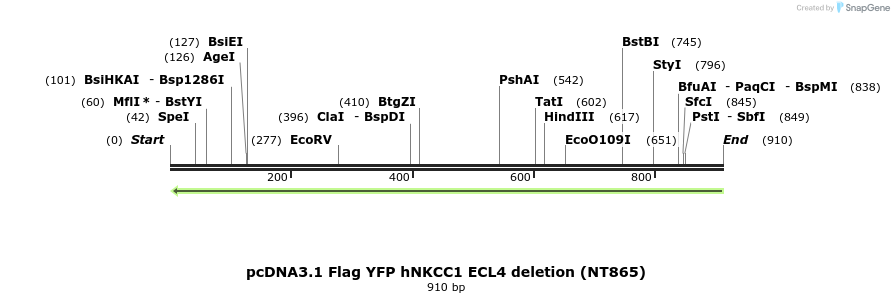 73557_map