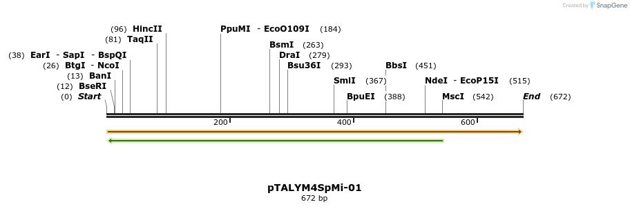 73558_map