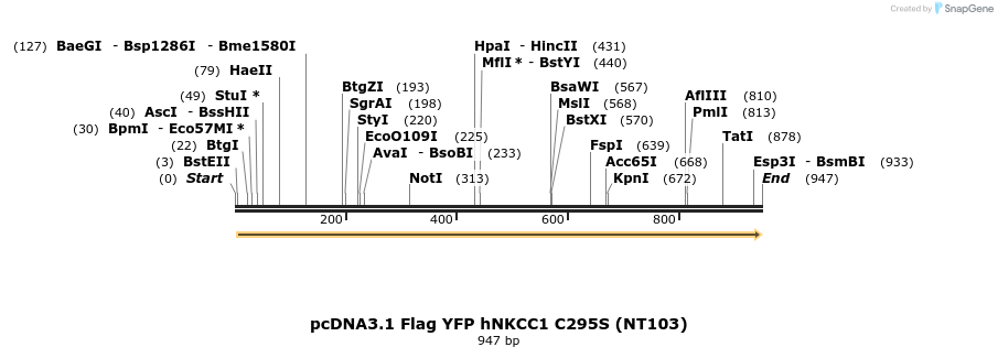 73560_map
