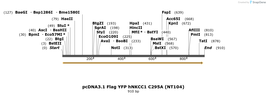 73561_map