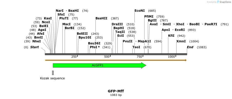 73567_map
