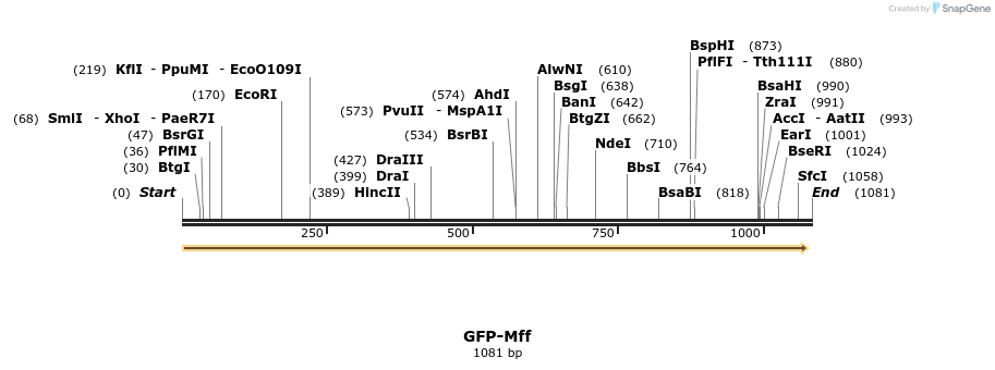 73568_map