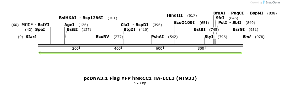 73569_map