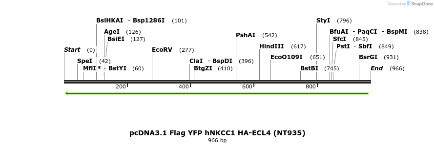 73571_map