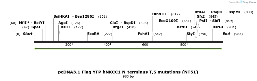 73572_map