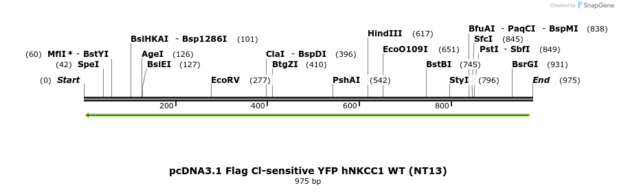 73573_map