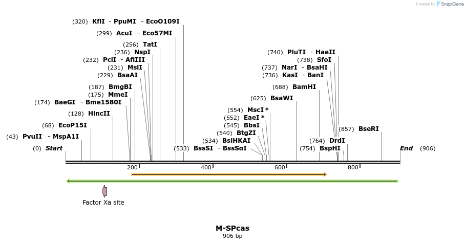 73576_map