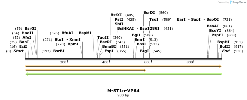 73578_map