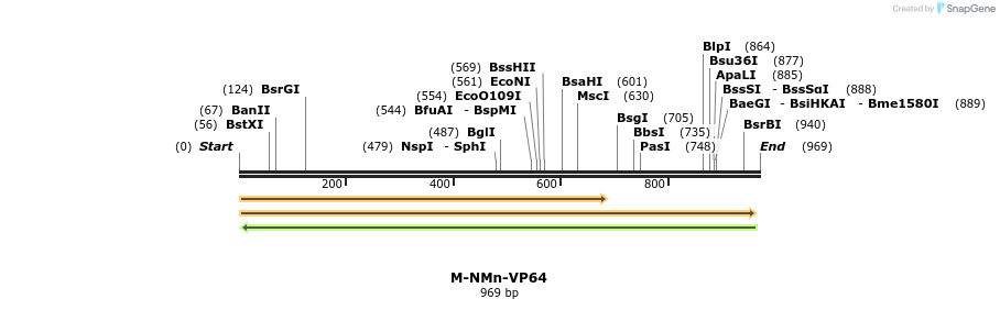 73580_map
