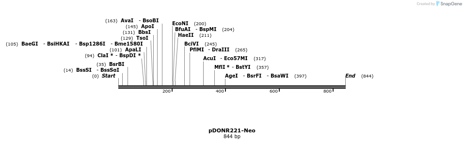 73581_map
