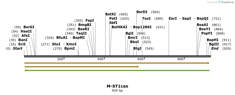 73582_map