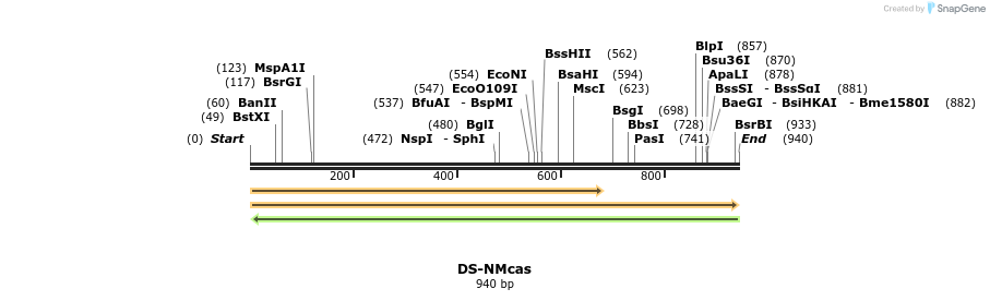 73585_map