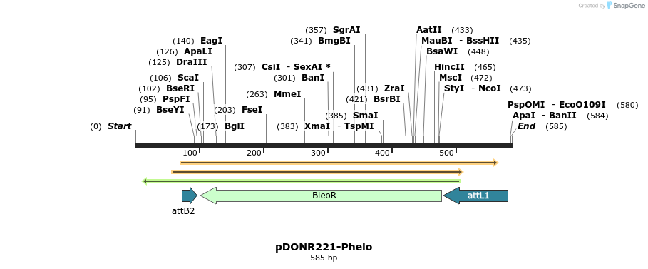 73586_map