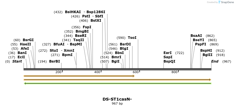 73588_map