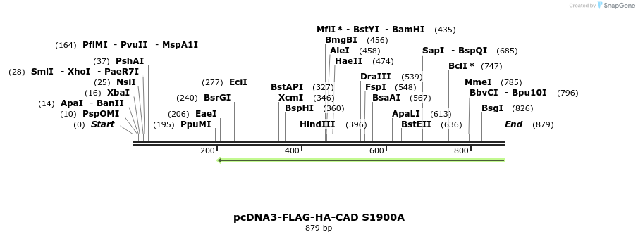 73591_map