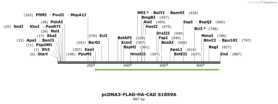 73592_map