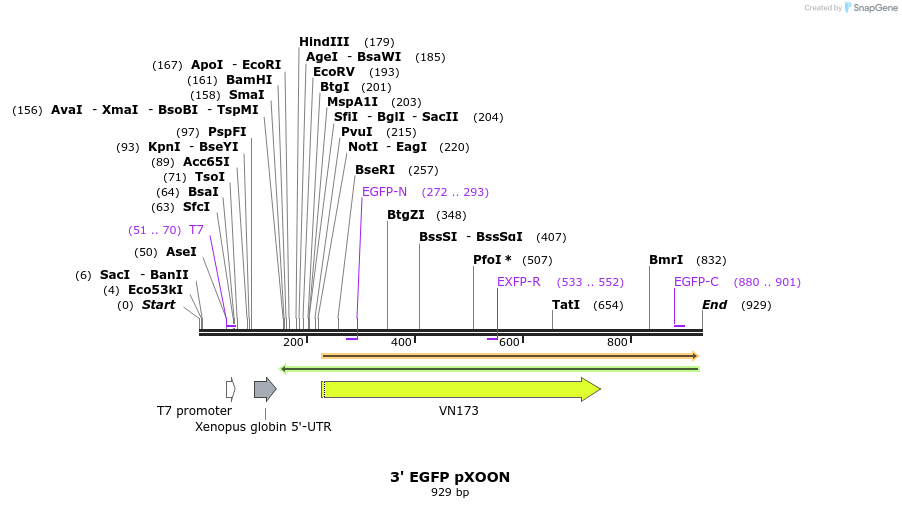 73595_map