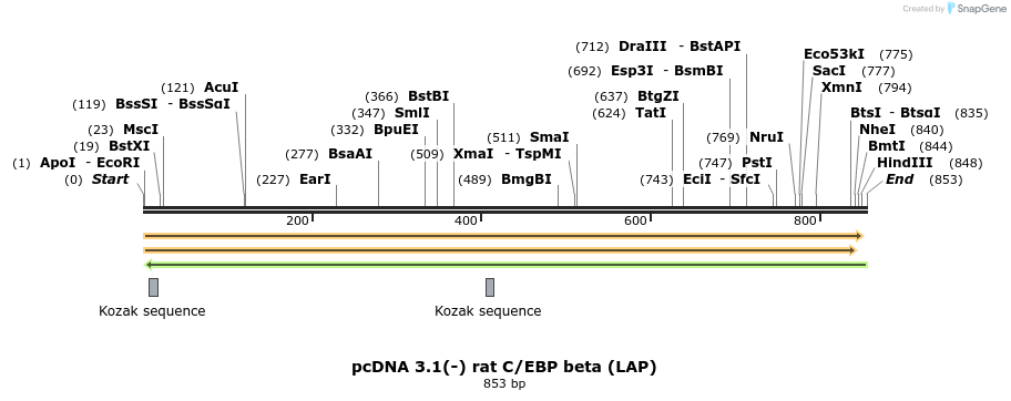 7360_map