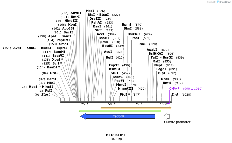 73604_map